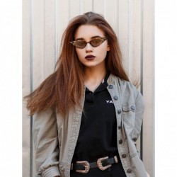 Goggle Cat Eye Leopard Sunglasses Retro Cat Eye Sunglasses Leopard Sunglasses for Women - Brown - C019240WNSD $12.10